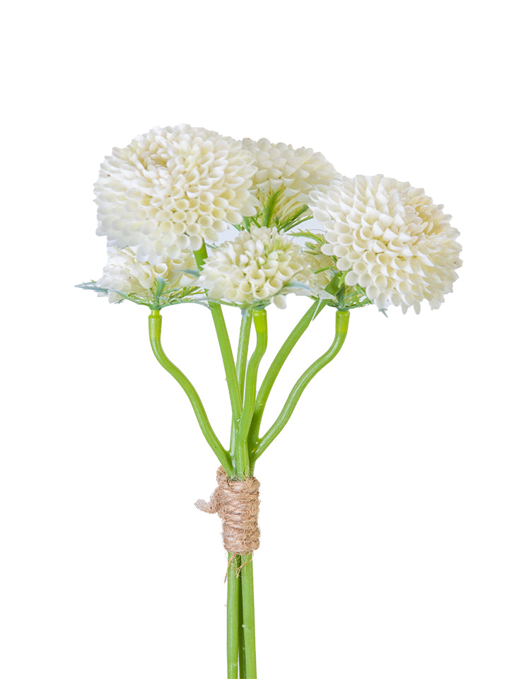 Dahlia Pom Bundle