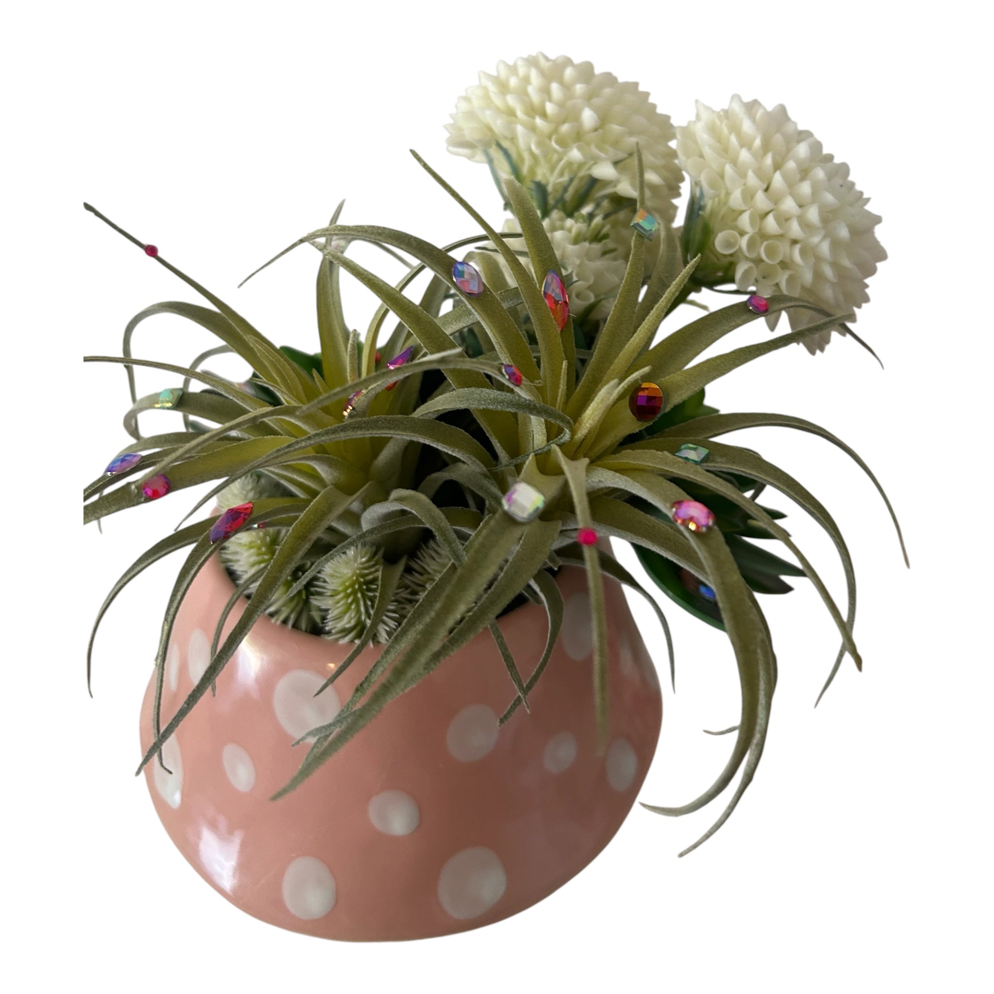 Mushroom vase with succulents
