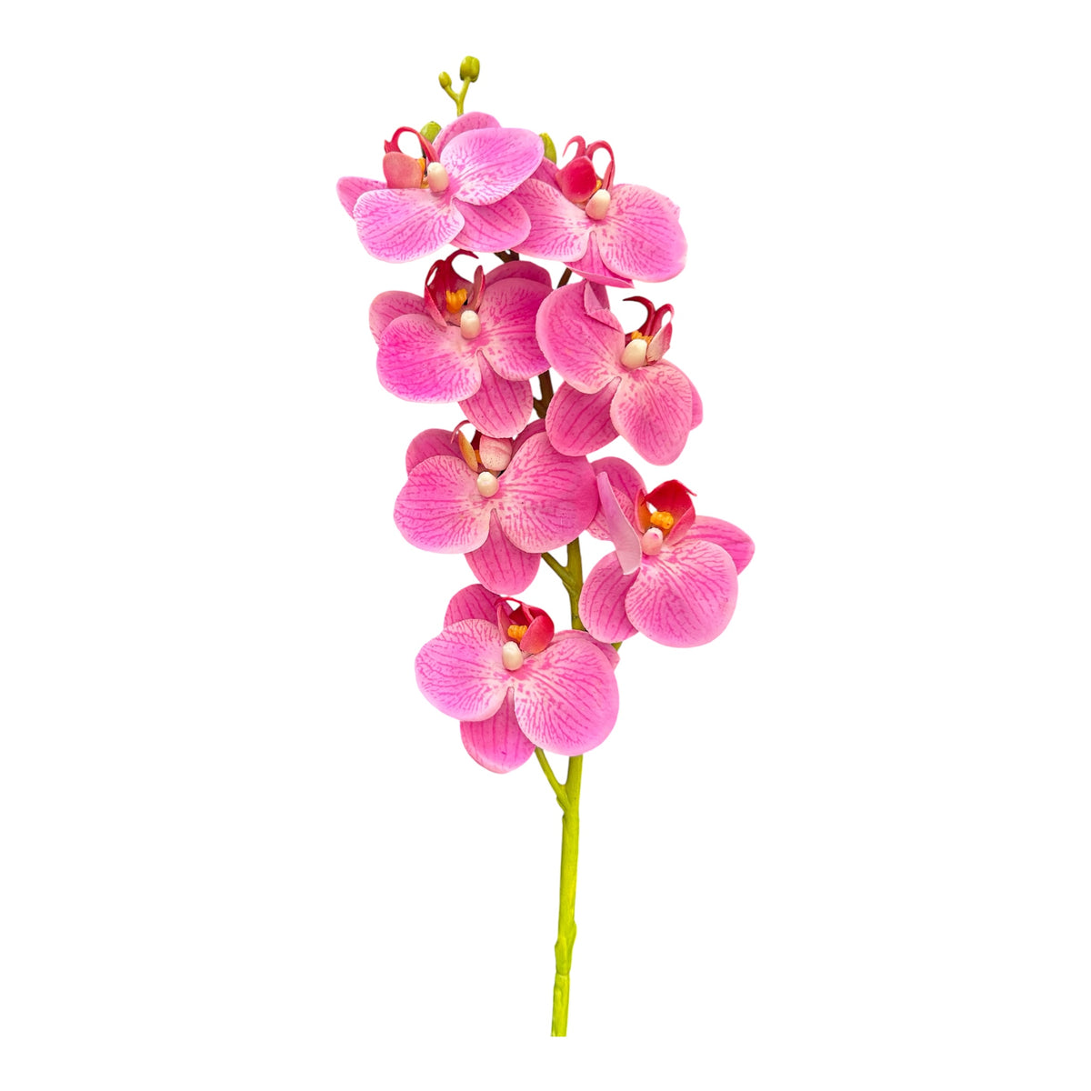 24” Real Touch Orchid