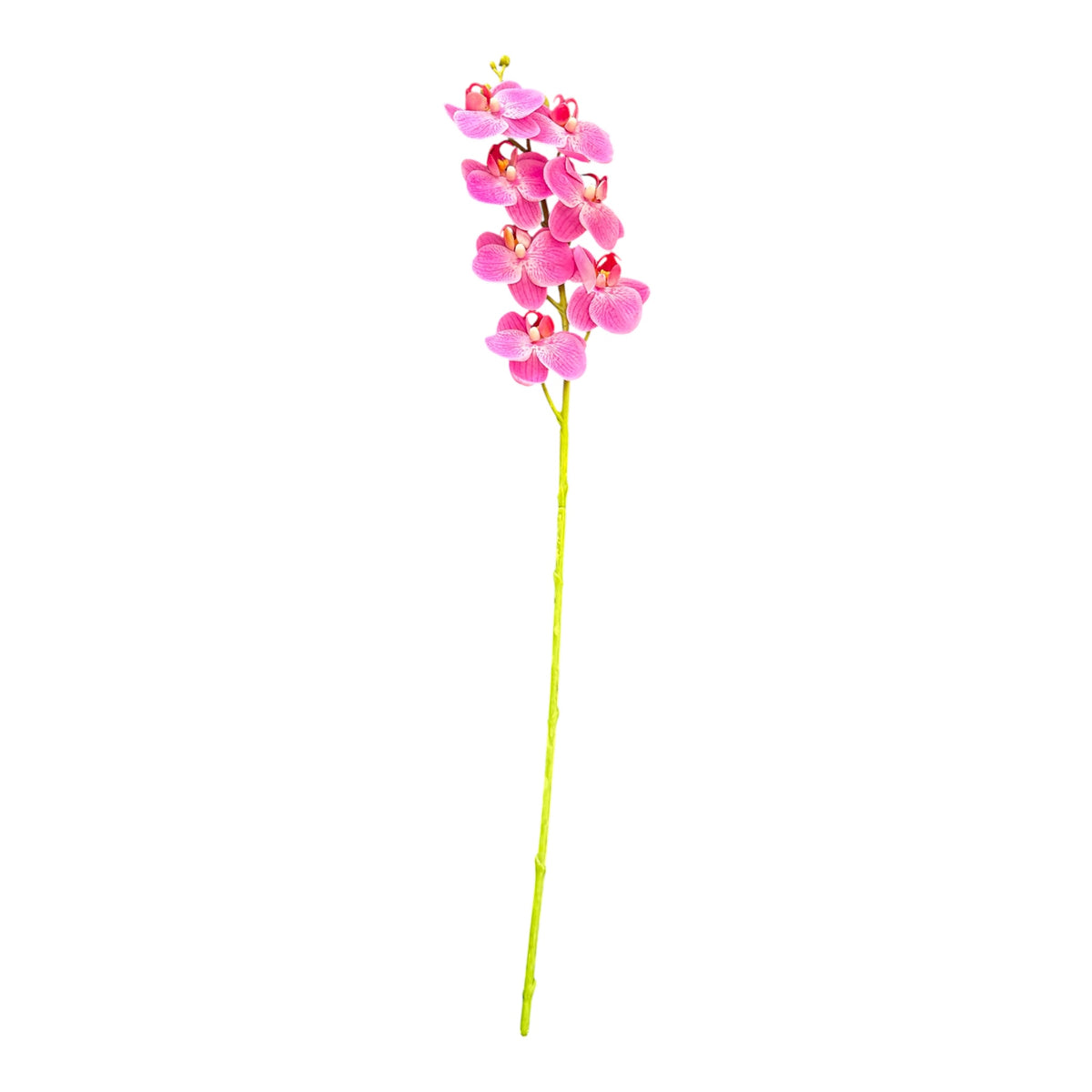 24” Real Touch Orchid