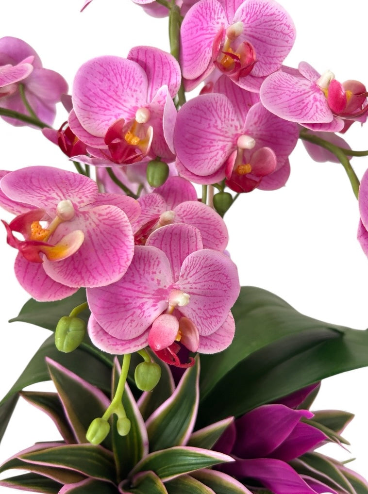 Artificial Pink Orchid Arrangement – Faux Phalaenopsis in Black Pot