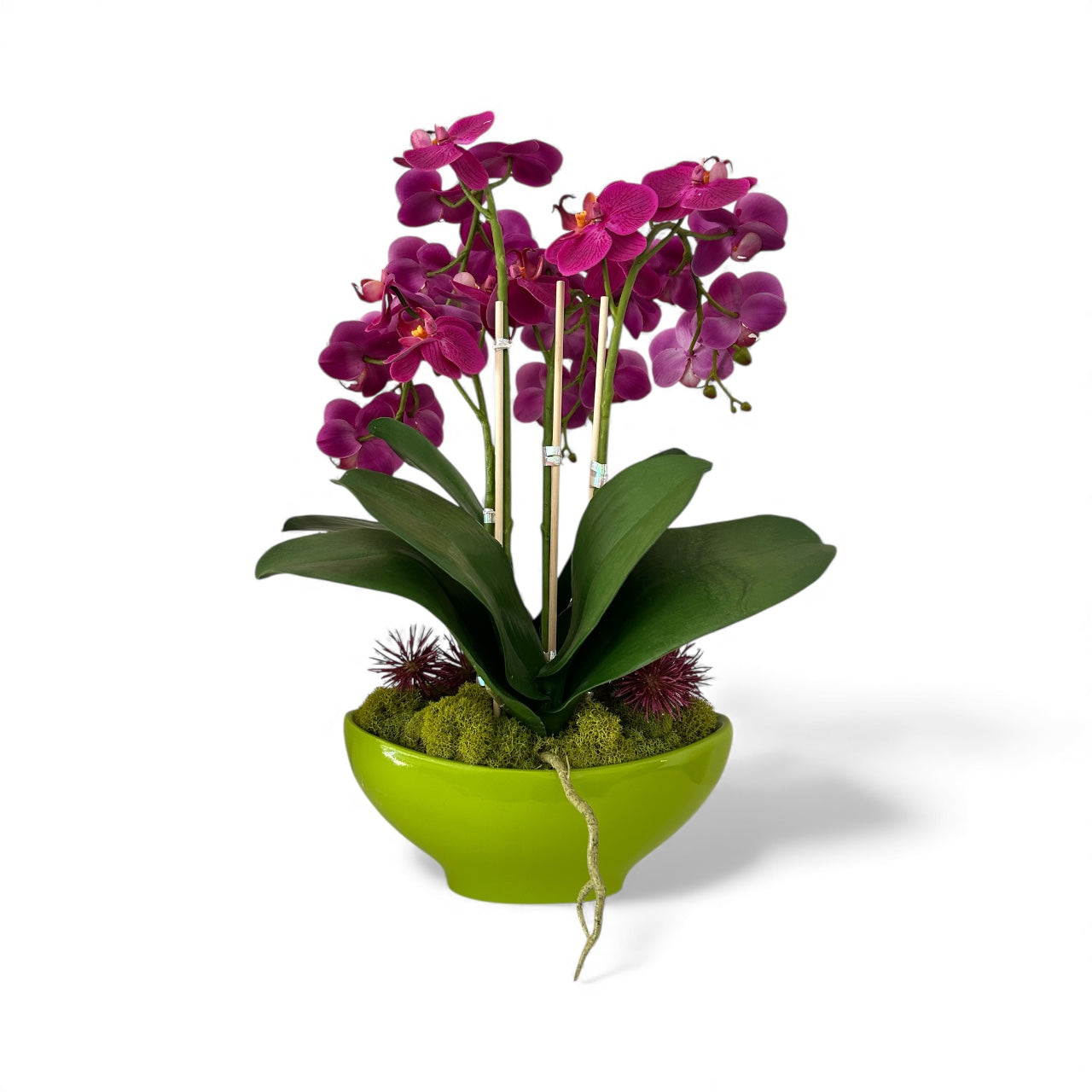 Real Touch Fuschia Orchid Arrangement - Faux Phalaenopsis in Green Pot